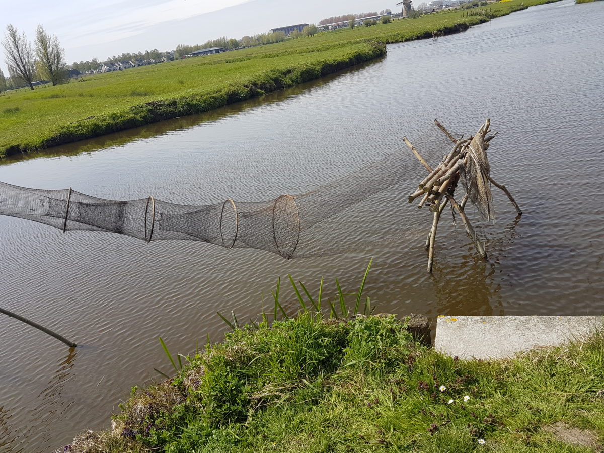 Kinderdijk - najpiękniejsze wiatraki w Holandii